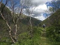 N, Trondelag, Oppdal, Varstigen 1, Saxifraga-Jan van der Straaten