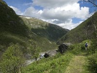 N, Trondelag, Oppdal, Varstigen 2, Saxifraga-Jan van der Straaten