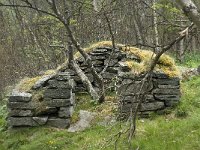 N, Trondelag, Oppdal, Varstigen 7, Saxifraga-Jan van der Straaten