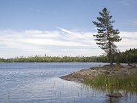 Bergsplass  Landscape of the lake "Norra Kornsjon" SE of Halden, Norway : color, colour, Europe European, Halden, horizontal, lake, nature natural, Norre Kornsjon, Norway, Norwegian, rural landscape, Scandinavia Scandinavian, summer, water