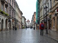 PL, Malopolskie, Krakow, Ulica Florianska, Saxifraga-Tom Heijnen