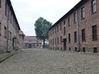 PL, Malopolskie, Oswiecim, Auschwitz I 3, Saxifraga-Tom Heijnen