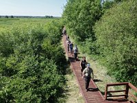 PL, Mazowieckie, Laskowiec, Narev 4, Saxifraga-Hans Dekker