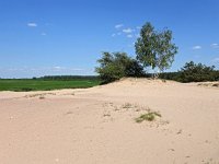 PL, Mazowieckie, Laskowiec, Narev 6, Saxifraga-Hans Dekker