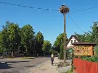 PL, Podlaskie, Bialowieza 31, Saxifraga-Hans Dekker