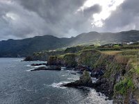 P, Acores,  Flores, Ponta Delgada 1, Saxifraga-Mark Zekhuis