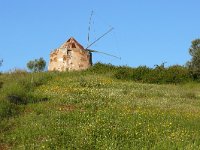 P, Beja, Odemira, Monte Maravilhas 5, Saxifraga-Tom Heijnen