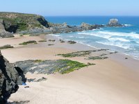 P, Beja, Odemira, Praia da Zambujeira do Mar 1, Saxifraga-Tom Heijnen