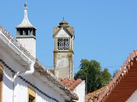 P, Beja, Odemira, Sao Martinho das Amoreiras 1, Saxifraga-Tom Heijnen