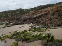 P, Faro, Aljezur, Carrapateira, Praia da Bordeira 39, Saxifraga-Willem van Kruijsbergen