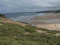 P, Faro, Aljezur, Carrapateira, Praia da Bordeira 54, Saxifraga-Willem van Kruijsbergen