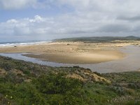 P, Faro, Aljezur, Carrapateira, Praia da Bordeira 6, Saxifraga-Willem van Kruijsbergen