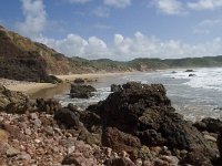 P, Faro, Aljezur, Carrapateira, Praia do Amado 16, Saxifraga-Willem van Kruijsbergen