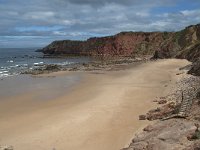 P, Faro, Aljezur, Carrapateira, Praia do Amado 39, Saxifraga-Willem van Kruijsbergen