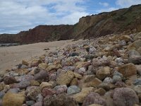 P, Faro, Aljezur, Carrapateira, Praia do Amado 43, Saxifraga-Willem van Kruijsbergen