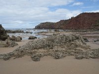 P, Faro, Aljezur, Carrapateira, Praia do Amado 46, Saxifraga-Willem van Kruijsbergen