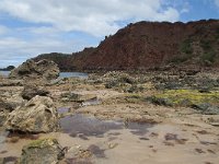 P, Faro, Aljezur, Carrapateira, Praia do Amado 58, Saxifraga-Willem van Kruijsbergen