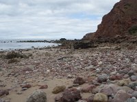 P, Faro, Aljezur, Carrapateira, Praia do Amado 60, Saxifraga-Willem van Kruijsbergen