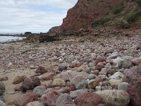 P, Faro, Aljezur, Carrapateira, Praia do Amado 61, Saxifraga-Willem van Kruijsbergen