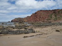 P, Faro, Aljezur, Carrapateira, Praia do Amado 70, Saxifraga-Willem van Kruijsbergen