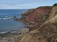 P, Faro, Aljezur, Carrapateira, Praia do Amado 79, Saxifraga-Willem van Kruijsbergen