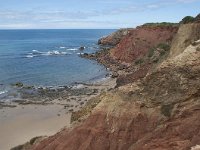 P, Faro, Aljezur, Carrapateira, Praia do Amado 80, Saxifraga-Willem van Kruijsbergen