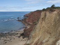 P, Faro, Aljezur, Carrapateira, Praia do Amado 81, Saxifraga-Willem van Kruijsbergen