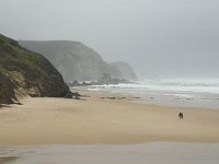 P, Faro, Vila do Bispo, Praia da Cordoama 1, Saxifraga-Jan van der Straaten