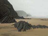 P, Faro, Vila do Bispo, Praia da Cordoama 12, Saxifraga-Jan van der Straaten