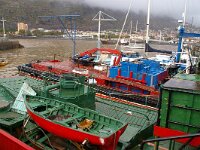 P, Madeira 15, Saxifraga-Foto Fitis-Sytske Dijksen