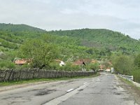 RO, Brasov, Sinca Noua, Sinca Veche 1, Saxifraga-Tom Heijnen