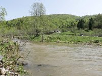 RO, Brasov, Zarnesti, W of Zarnesti 5, Saxifraga-Tom Heijnen