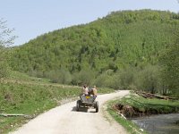 RO, Brasov, Zarnesti, W of Zarnesti 6, Saxifraga-Tom Heijnen