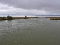 RO, Constanta, Mihai Viteazu, E of Sinoe 5, Saxifraga-Tom Heijnen