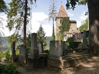 RO, Mures, Sighisoara, Biserica din Deal, Saxifraga-Tom Heijnen