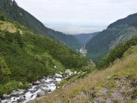 RO, Sibiu, Cartisoara, Transfagarasan 2, Saxifraga-Tom Heijnen