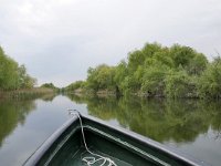 RO, Tulcea, near Crisan 3, Saxifraga-Tom Heijnen