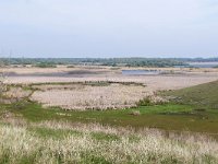 RO, Tulcea, Somova, near Parches 2, Saxifraga-Tom Heijnen