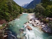 SLO, Gorenjska, Bovec, Soca 2, Saxifraga-Hans Dekker