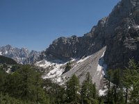 SLO, Gorenjska, Kranjska Gora 10, Saxifraga-Luuk Vermeer