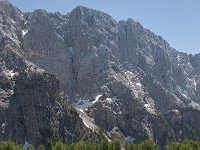 SLO, Gorenjska, Kranjska Gora 16, Saxifraga-Luuk Vermeer