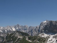 SLO, Gorenjska, Kranjska Gora 17, Saxifraga-Luuk Vermeer