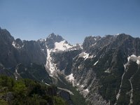 SLO, Gorenjska, Kranjska Gora 18, Saxifraga-Luuk Vermeer