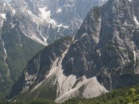 SLO, Gorenjska, Kranjska Gora 2, Saxifraga-Luuk Vermeer