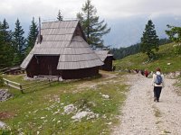 SLO, Osrednjeslovenska, Kamnik, Velika Planina Kamnik 10, Saxifraga-Hans Dekker