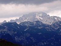 SLO, Osrednjeslovenska, Kamnik, Velika Planina Kamnik 7, Saxifraga-Hans Dekker