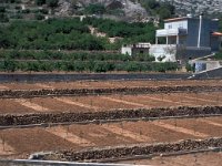 E, Almeria, Los Garraldos 2, Saxifraga-Jan van der Straaten