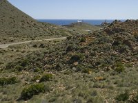 E, Almeria, Nijar, Cabo de Gata 55, Saxifraga-Willem van Kruijsbergen