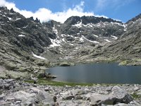 E, Avila, Navarredonda, Laguna Grande 1, Saxifraga-Kees Laarhoven