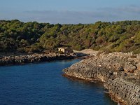 E, Baleares, Felanitx, Portocolom 1, Saxifraga-Hans Dekker